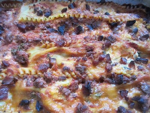 fish lasagna photo