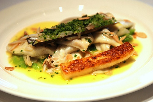 Plaice fillets and herbs photo
